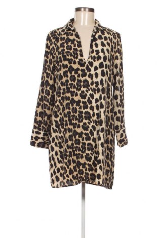 Kleid Zara, Größe M, Farbe Mehrfarbig, Preis € 10,86