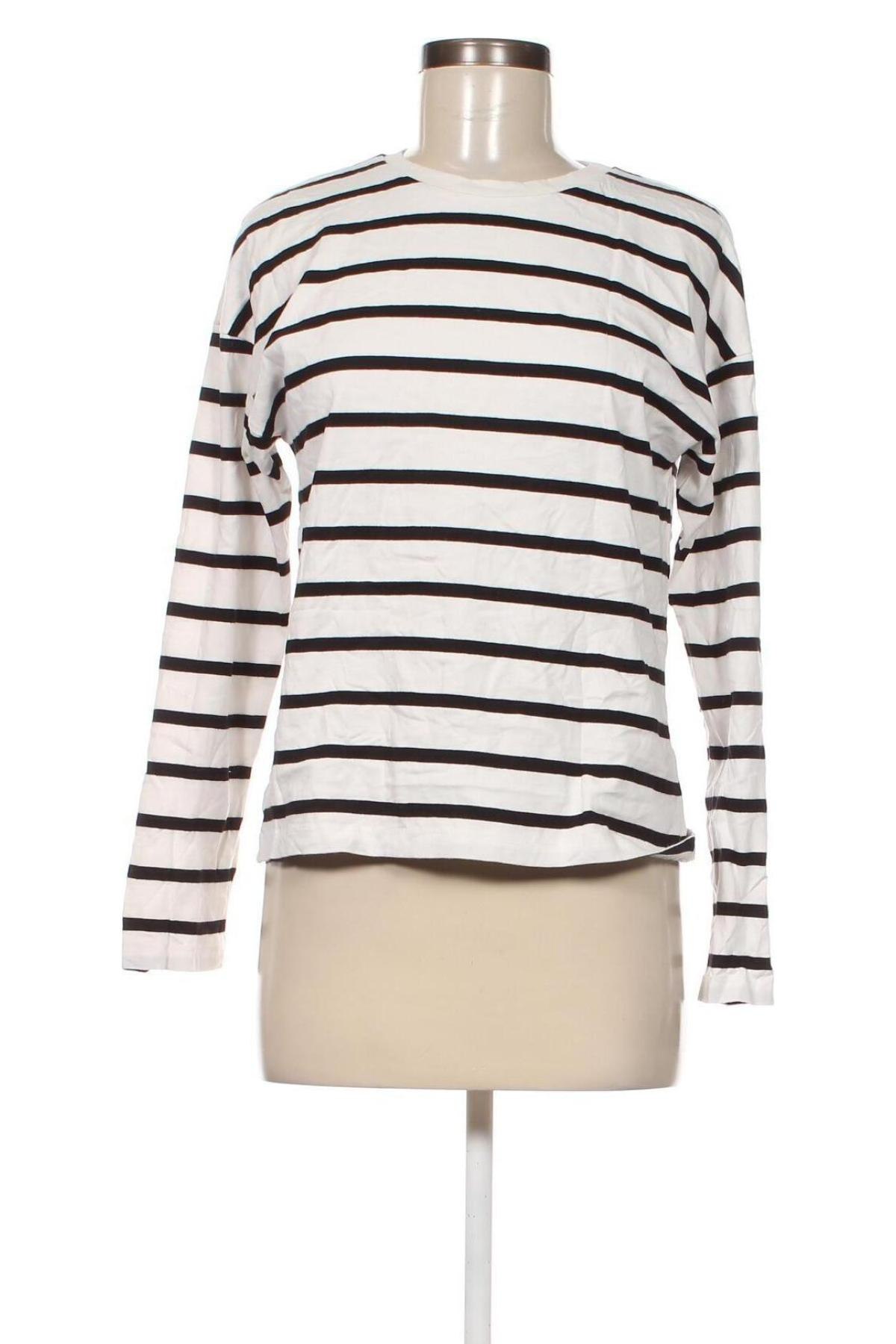 Damen Shirt Edc By Esprit, Größe L, Farbe Mehrfarbig, Preis € 16,70