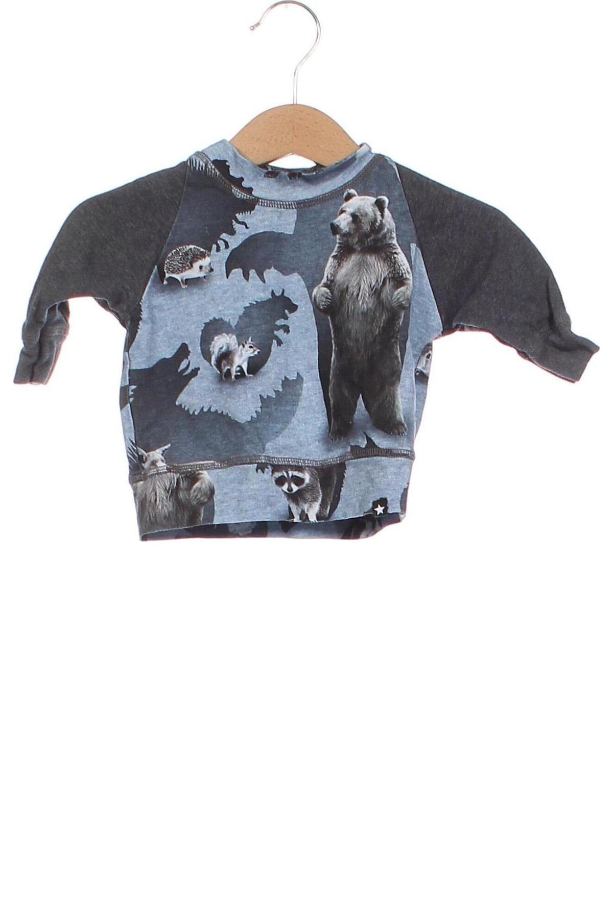Παιδική μπλούζα Molo, Μέγεθος 1-2m/ 50-56 εκ., Χρώμα Πολύχρωμο, Τιμή 7,68 €