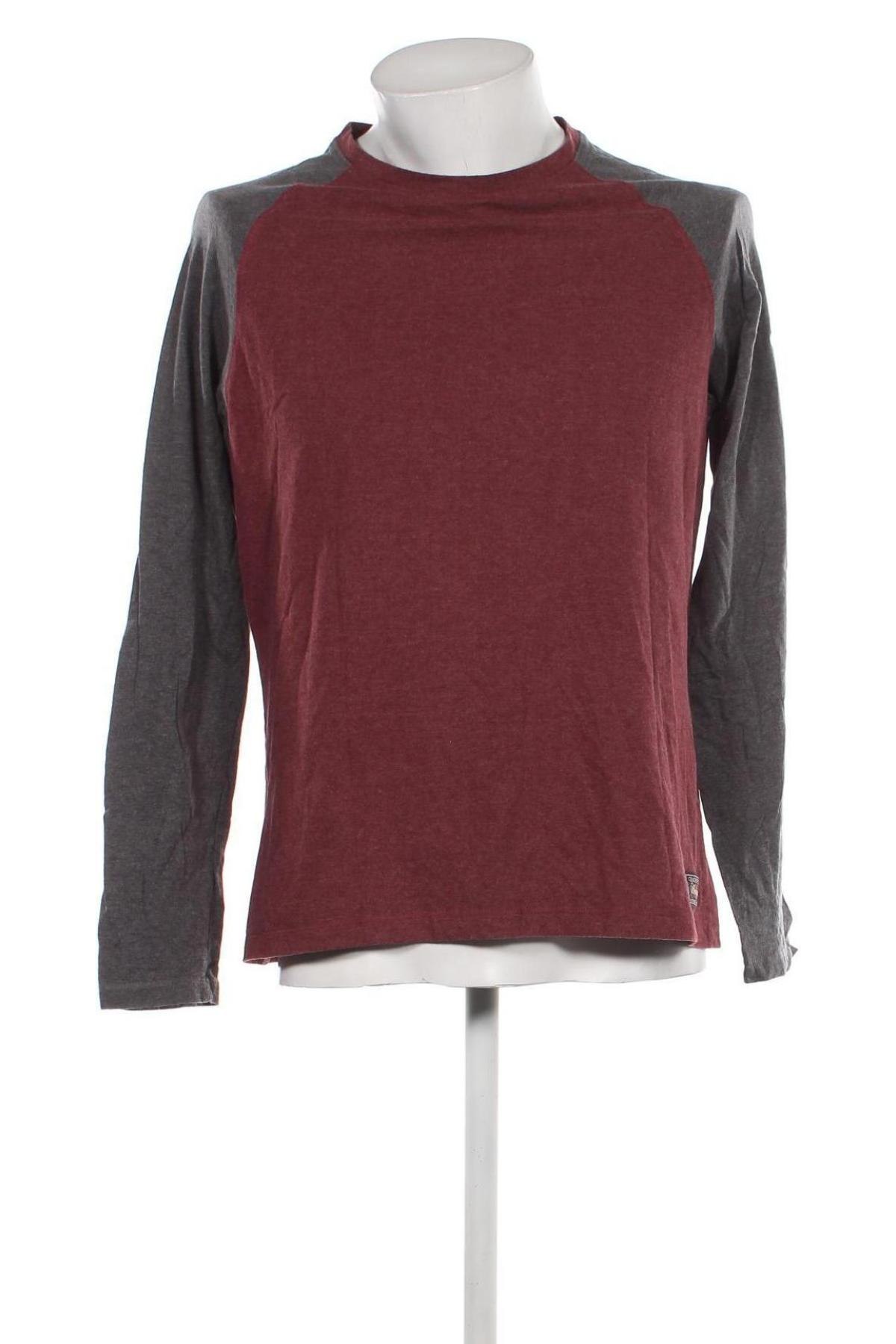 Ανδρική μπλούζα Craghoppers, Μέγεθος L, Χρώμα Πολύχρωμο, Τιμή 8,41 €