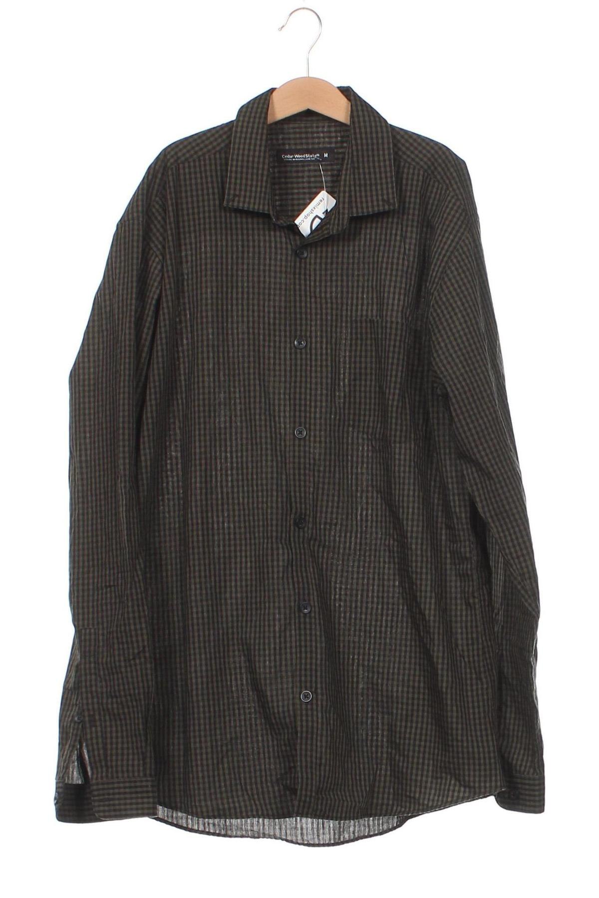 Ανδρικό πουκάμισο CedarWood State, Μέγεθος M, Χρώμα Πράσινο, Τιμή 3,05 €
