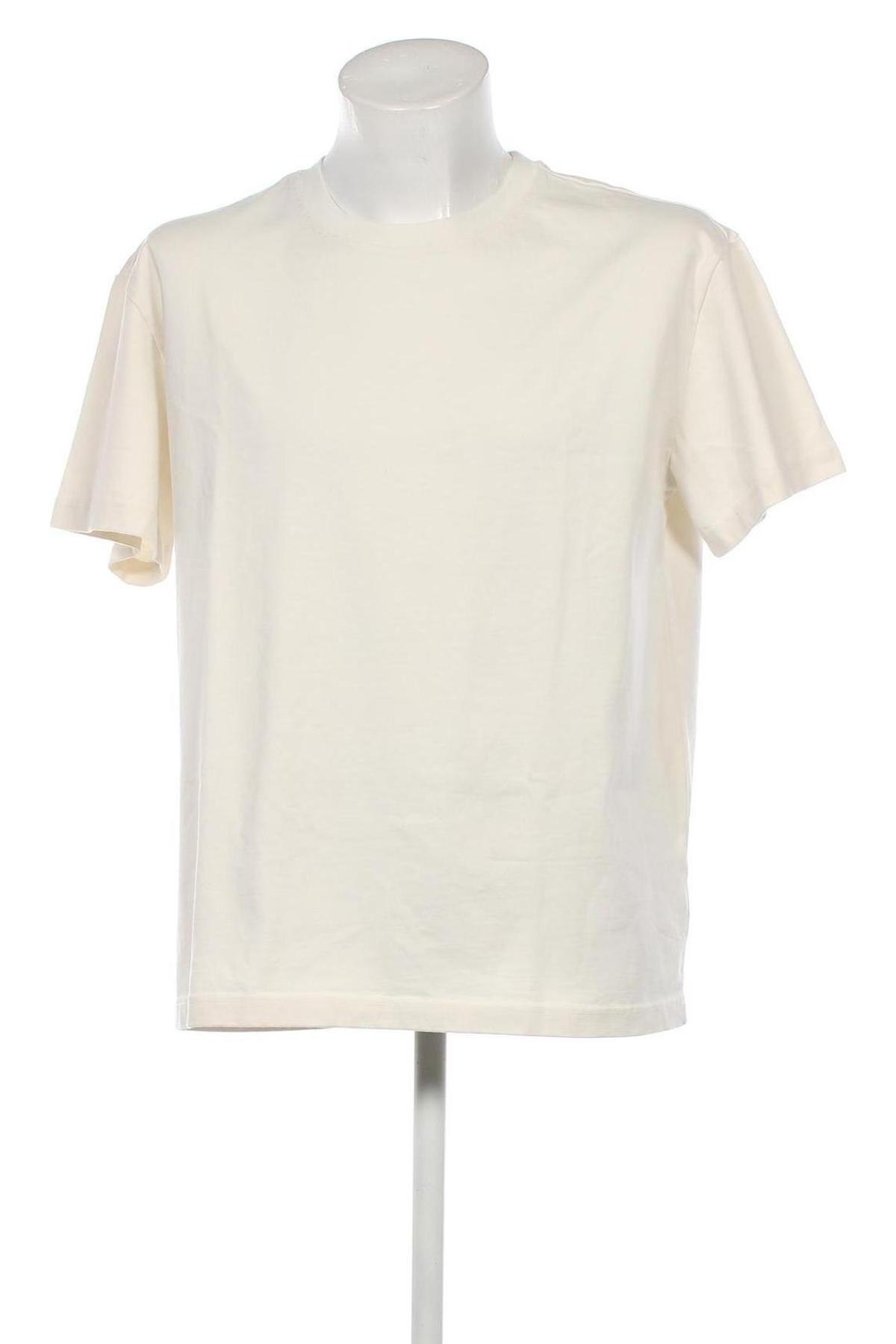 Herren T-Shirt About You, Größe XL, Farbe Ecru, Preis 18,04 €