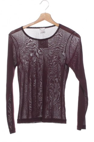 Damen Shirt Antonio Braga, Größe XS, Farbe Lila, Preis € 4,99