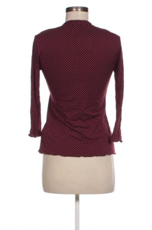 Damen Shirt Betty Barclay, Größe S, Farbe Mehrfarbig, Preis 15,99 €