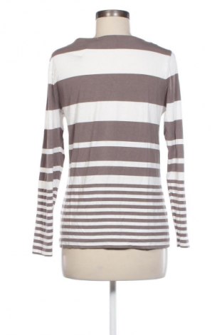 Damen Shirt Betty Barclay, Größe M, Farbe Mehrfarbig, Preis 15,99 €