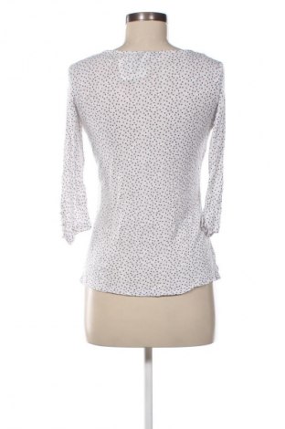 Damen Shirt Colloseum, Größe S, Farbe Mehrfarbig, Preis € 5,99