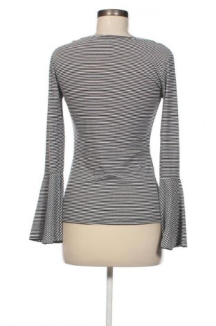 Damen Shirt Colloseum, Größe S, Farbe Mehrfarbig, Preis 4,99 €