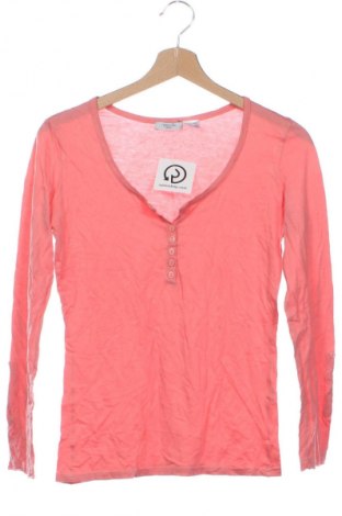 Damen Shirt La Redoute, Größe XS, Farbe Rosa, Preis 9,99 €