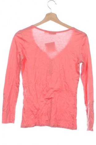 Damen Shirt La Redoute, Größe XS, Farbe Rosa, Preis 9,99 €