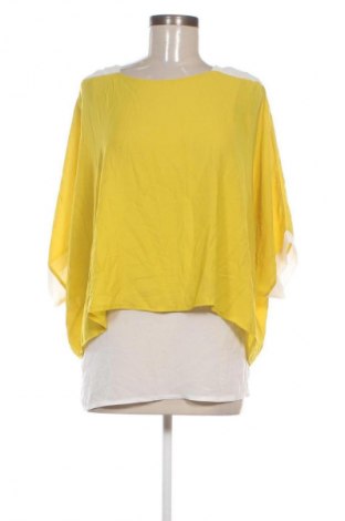 Damen Shirt NEW COLLECTION, Größe M, Farbe Mehrfarbig, Preis € 9,99