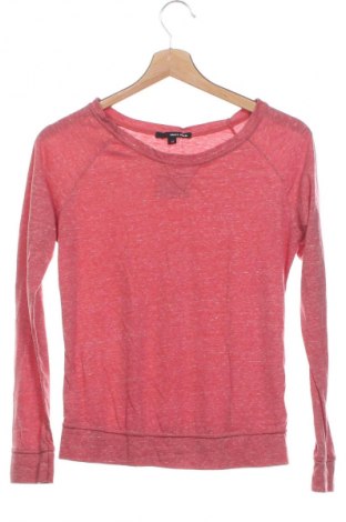 Damen Shirt Tally Weijl, Größe XS, Farbe Mehrfarbig, Preis € 5,99