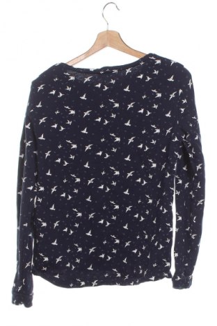 Damen Shirt Tom Tailor, Größe XS, Farbe Mehrfarbig, Preis 3,99 €