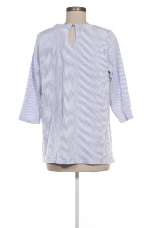 Damen Shirt Zizzi, Größe S, Farbe Mehrfarbig, Preis 10,99 €