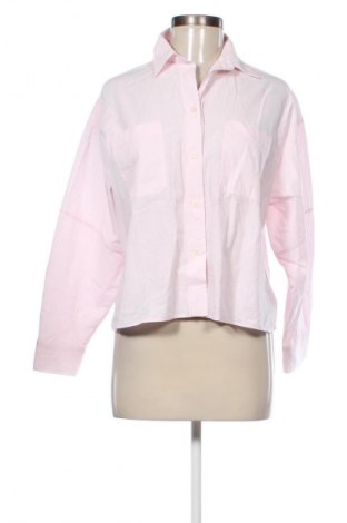 Damenbluse Massimo Dutti, Größe XS, Farbe Rosa, Preis 66,20 €