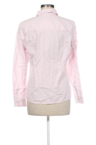 Damenbluse Montego, Größe M, Farbe Rosa, Preis € 24,99