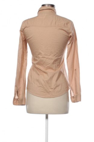 Damenbluse Tally Weijl, Größe S, Farbe Braun, Preis € 5,99