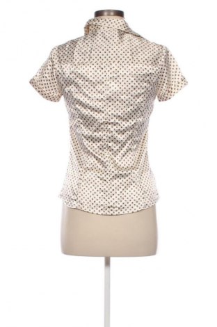 Damenbluse Zara, Größe M, Farbe Mehrfarbig, Preis € 14,99