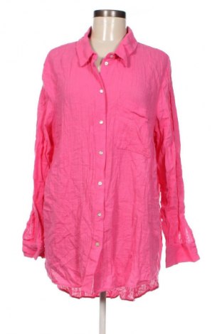 Damenbluse Zizzi, Größe M, Farbe Rosa, Preis 13,99 €