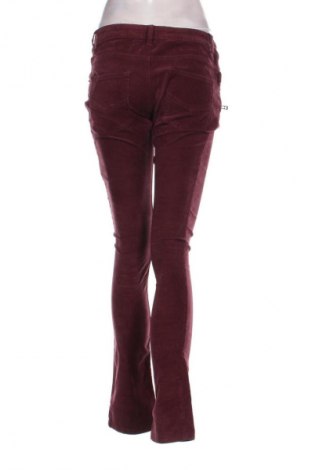 Damen Cordhose Zadig & Voltaire, Größe L, Farbe Rot, Preis € 61,99