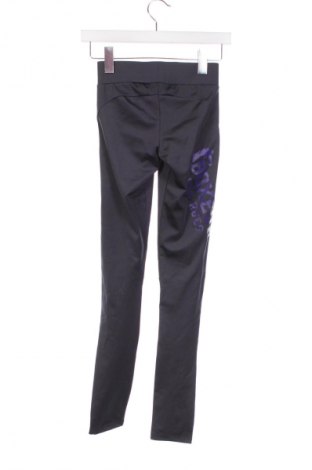 Γυναικείο κολάν Boxeur Des Rues, Μέγεθος XS, Χρώμα Γκρί, Τιμή 2,99 €