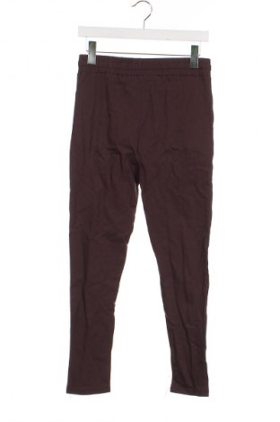 Damenhose Unbranded, Größe XS, Farbe Braun, Preis € 4,99