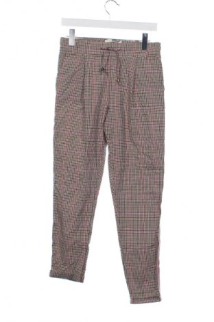 Damskie spodnie Coccara, Rozmiar XS, Kolor Kolorowy, Cena 27,99 zł