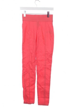 Damenhose Laura Torelli, Größe XS, Farbe Rot, Preis € 4,99