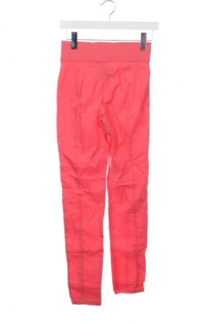 Damenhose Laura Torelli, Größe XS, Farbe Rot, Preis € 4,99