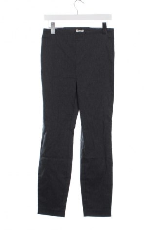 Damenhose TCM, Größe XS, Farbe Grau, Preis € 14,99