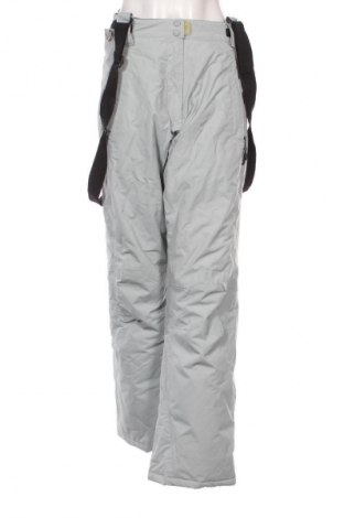 Damenhose für Wintersport Unbranded, Größe XL, Farbe Grau, Preis 14,57 €