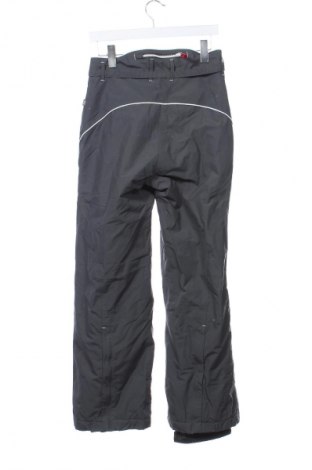 Damenhose für Wintersport TCM, Größe S, Farbe Grau, Preis 36,99 €