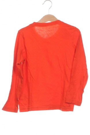 Kinder Shirt Lupilu, Größe 4-5y/ 110-116 cm, Farbe Orange, Preis 3,99 €