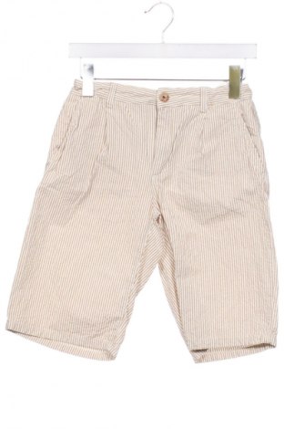 Kinder Shorts Zara, Größe 12-13y/ 158-164 cm, Farbe Mehrfarbig, Preis € 6,02