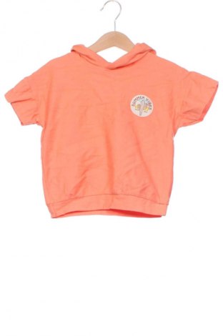 Kinder Sweatshirts, Größe 18-24m/ 86-98 cm, Farbe Orange, Preis 15,99 €