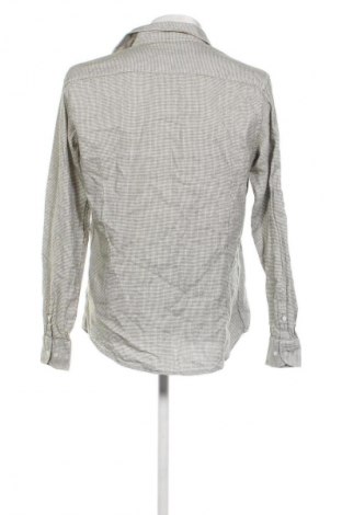 Herrenhemd Massimo Dutti, Größe L, Farbe Mehrfarbig, Preis 28,99 €