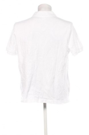 Ανδρικό t-shirt, Μέγεθος M, Χρώμα Λευκό, Τιμή 7,99 €