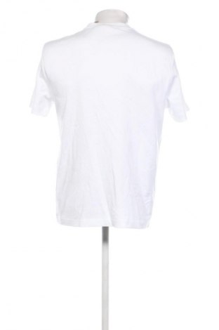 Herren T-Shirt Calvin Klein, Größe L, Farbe Weiß, Preis € 46,99