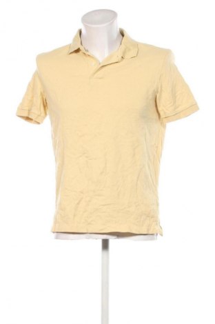 Herren T-Shirt Dressmann, Größe L, Farbe Gelb, Preis 9,99 €