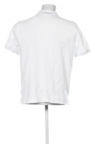 Herren T-Shirt Gant, Größe L, Farbe Weiß, Preis 74,99 €