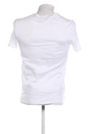 Herren T-Shirt Lacoste, Größe M, Farbe Weiß, Preis 53,99 €