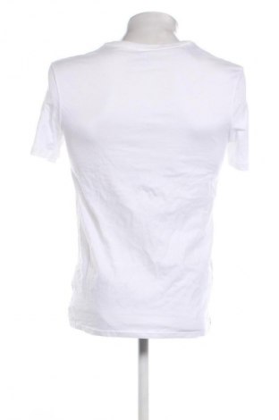 Herren T-Shirt Lacoste, Größe M, Farbe Weiß, Preis 53,99 €