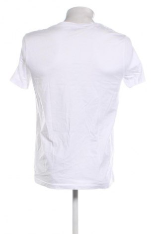 Herren T-Shirt McNeal, Größe M, Farbe Weiß, Preis 20,99 €