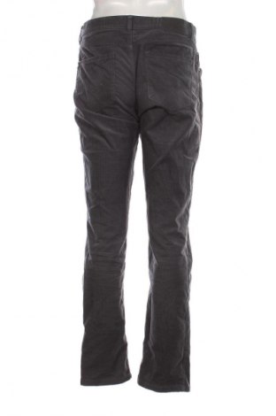 Herren Cordhose Christian Berg, Größe M, Farbe Grau, Preis 21,99 €