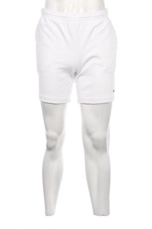 Herren Shorts Lacoste, Größe S, Farbe Weiß, Preis 70,99 €