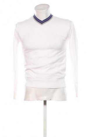 Herrenpullover Virus, Größe L, Farbe Mehrfarbig, Preis € 11,99