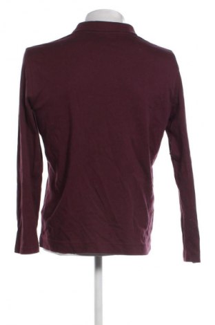 Herren Rollkragen Christian Berg, Größe M, Farbe Lila, Preis 27,99 €