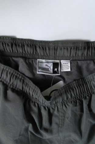 Herren Sporthose PUMA, Größe L, Farbe Grün, Preis € 25,99