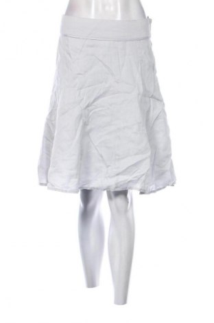 Rock H&M, Größe S, Farbe Grau, Preis 3,99 €