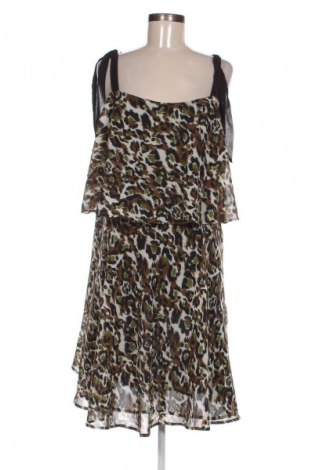 Sukienka Dorothy Perkins, Rozmiar XXL, Kolor Kolorowy, Cena 79,99 zł