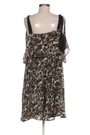 Sukienka Dorothy Perkins, Rozmiar XXL, Kolor Kolorowy, Cena 79,99 zł